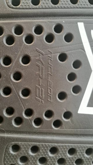 Espaldera Alpinestars Nucleon KR-2i