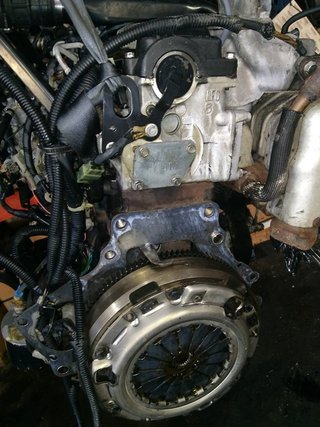 DESPIECE MOTOR KIA SPORTAGE TD (5-ptas.) | 12.96