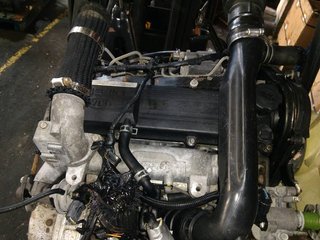 DESPIECE MOTOR KIA SPORTAGE TD (5-ptas.) | 12.96