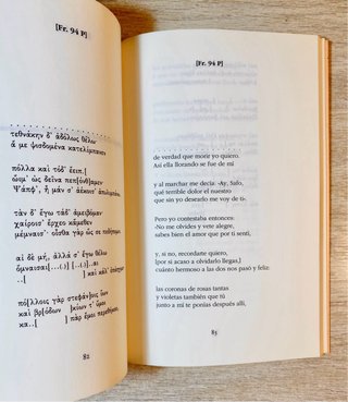 Libro SAFO Poemas y Fragmentos
