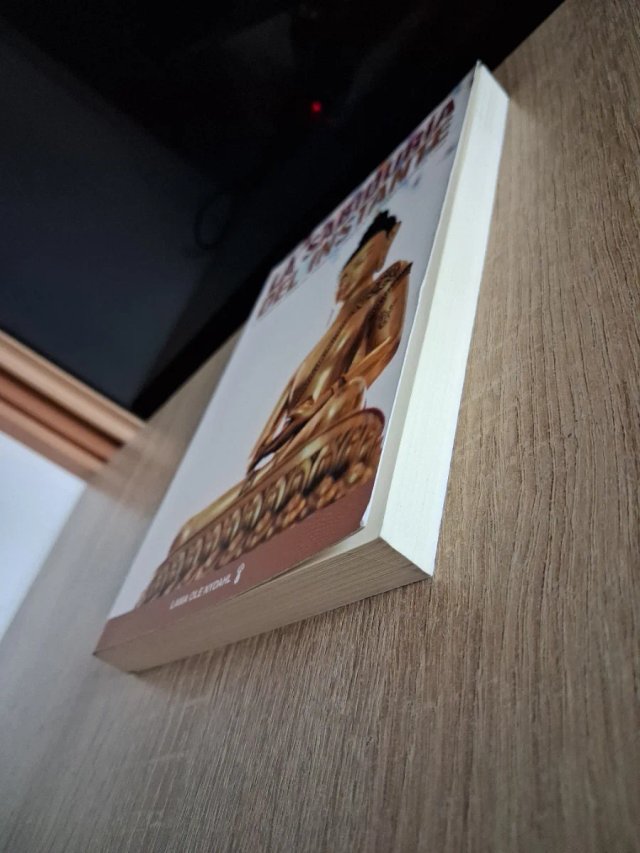 LA SABIDURÍA DEL INSTANTE