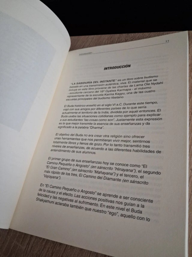 LA SABIDURÍA DEL INSTANTE