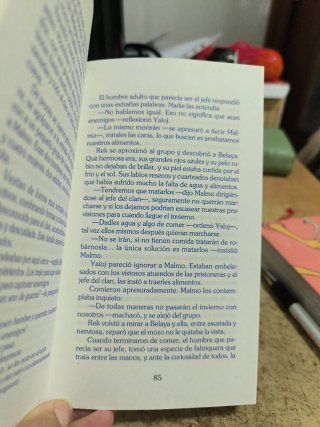 El bisonte mágico