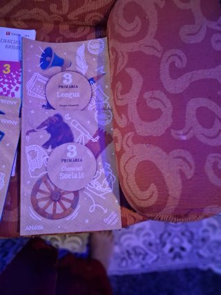 Libros de lengua se venden en 150$ de tercero todo