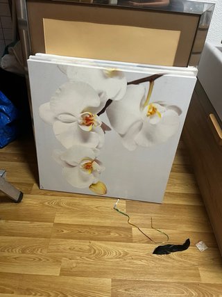 Conjunto Cuadros de orquídeas blancas y doradas