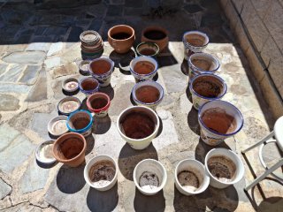 Lote Maceteros Cerámica y Terracota