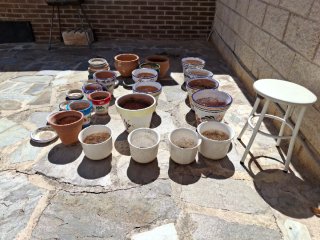 Lote Maceteros Cerámica y Terracota
