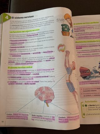 Ciencias de la naturaleza, 5 Primaria, Aragón S...