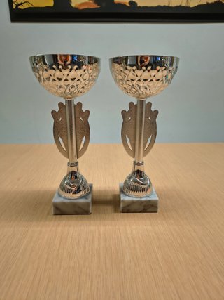 Coppia Trofei eleganti 28cm Base Marmo