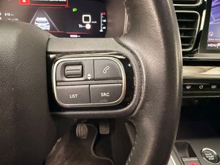 Citroën C5 Aircross BlueHdi 96kW (130CV) S&S Feel