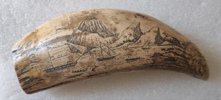 Dente finto avorio resina nave