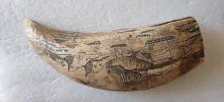 Dente finto avorio resina nave