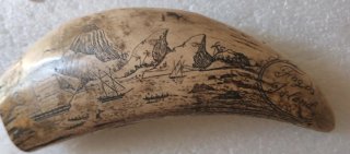 Dente finto avorio resina nave