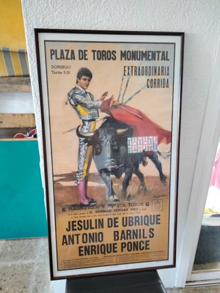Cuadro Taurino Plaza de Toros Monumental