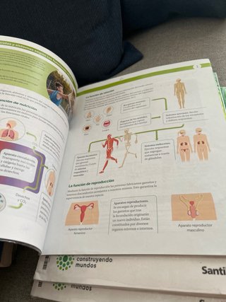 Biología y Geología, 3 ESO, Proyecto construyen...