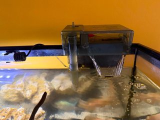 Acuario con mueble negro de madera 60 L