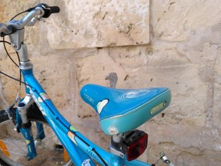 Bicicleta Infantil Trek MT60 20'' Ajustable