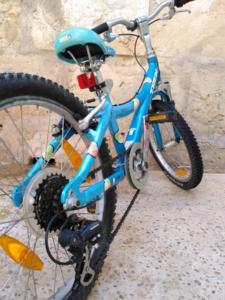 Bicicleta Infantil Trek MT60 20'' Ajustable