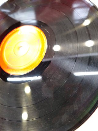 Vinilo Julio Iglesias Raices