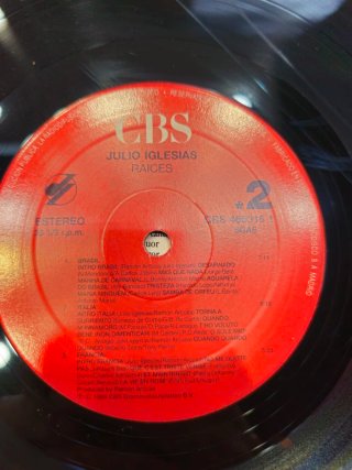 Vinilo Julio Iglesias Raices