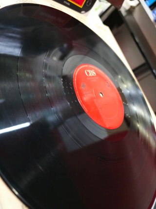Vinilo Julio Iglesias Raices