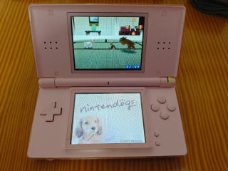 Pack Nintendo DS Lite Rosa