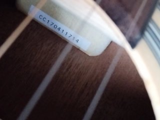 Guitarra Acústica Takamine GD10 NS, con funda 200€