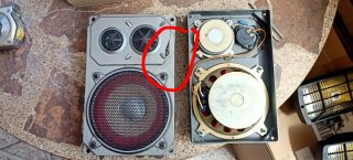 Altavoces Coche Tweeter y Woofer