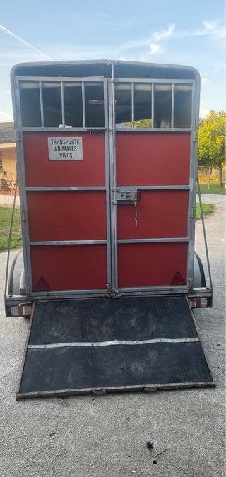 Remolque caballos matrícula roja