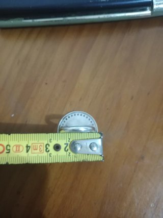 Anillo Oso Plata Ley 925