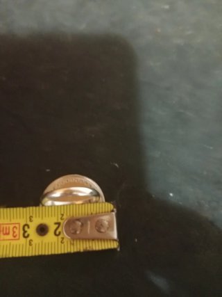 Anillo Oso Plata Ley 925