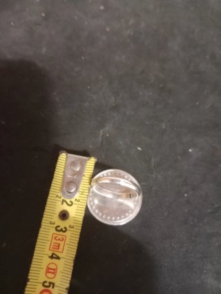 Anillo Oso Plata Ley 925