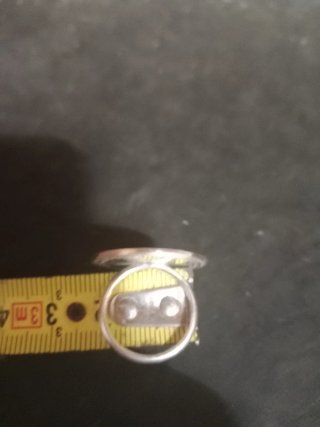 Anillo Oso Plata Ley 925