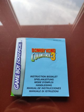 Manual Donkey Kong Country 3 GBA
