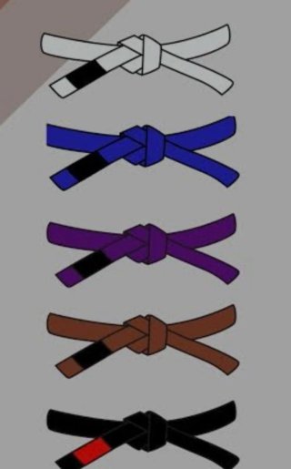 BJJ Jiu Jitsu entrenos o mma