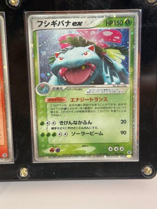 Set 3 Cartas Pokémon EX: Blastoise, Charizard, Ven
