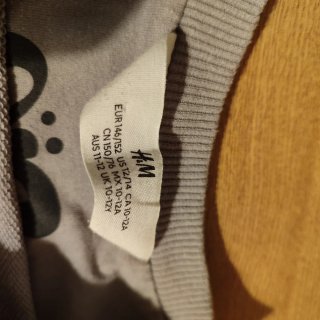 Sudadera H&M Olivia Rodrigo Gris