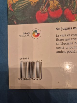 Camps de maduixes