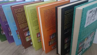 Lote de 10 libros Diario de Greg