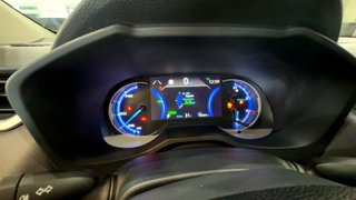Toyota RAV4 2.5 HYBRID 218 BUSINESS (2020)