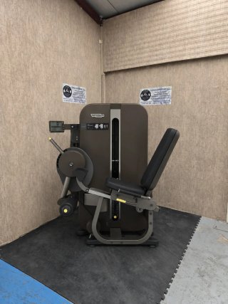 Máquinas Musculación Technogym Artis / Fuerza