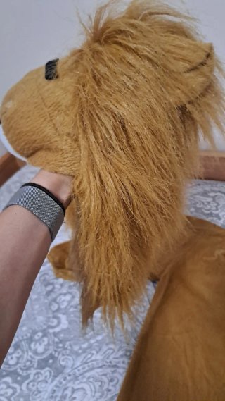 Disfraz de León para Niño