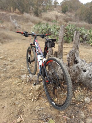 Bicicleta Scott Talla S 52cm