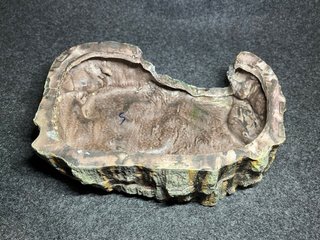 Cueva para reptiles