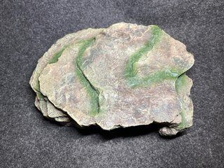 Cueva para reptiles