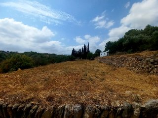 Terreno huerto con agua todo el año – La Senia