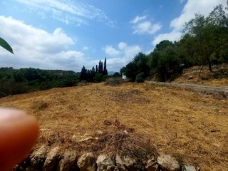 Terreno huerto con agua todo el año – La Senia