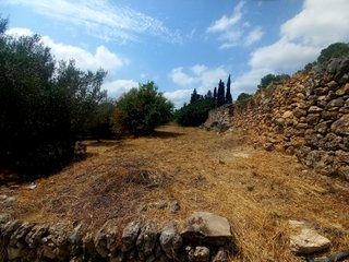 Terreno huerto con agua todo el año – La Senia