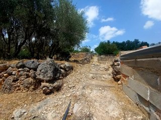 Terreno huerto con agua todo el año – La Senia
