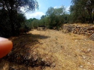 Terreno huerto con agua todo el año – La Senia